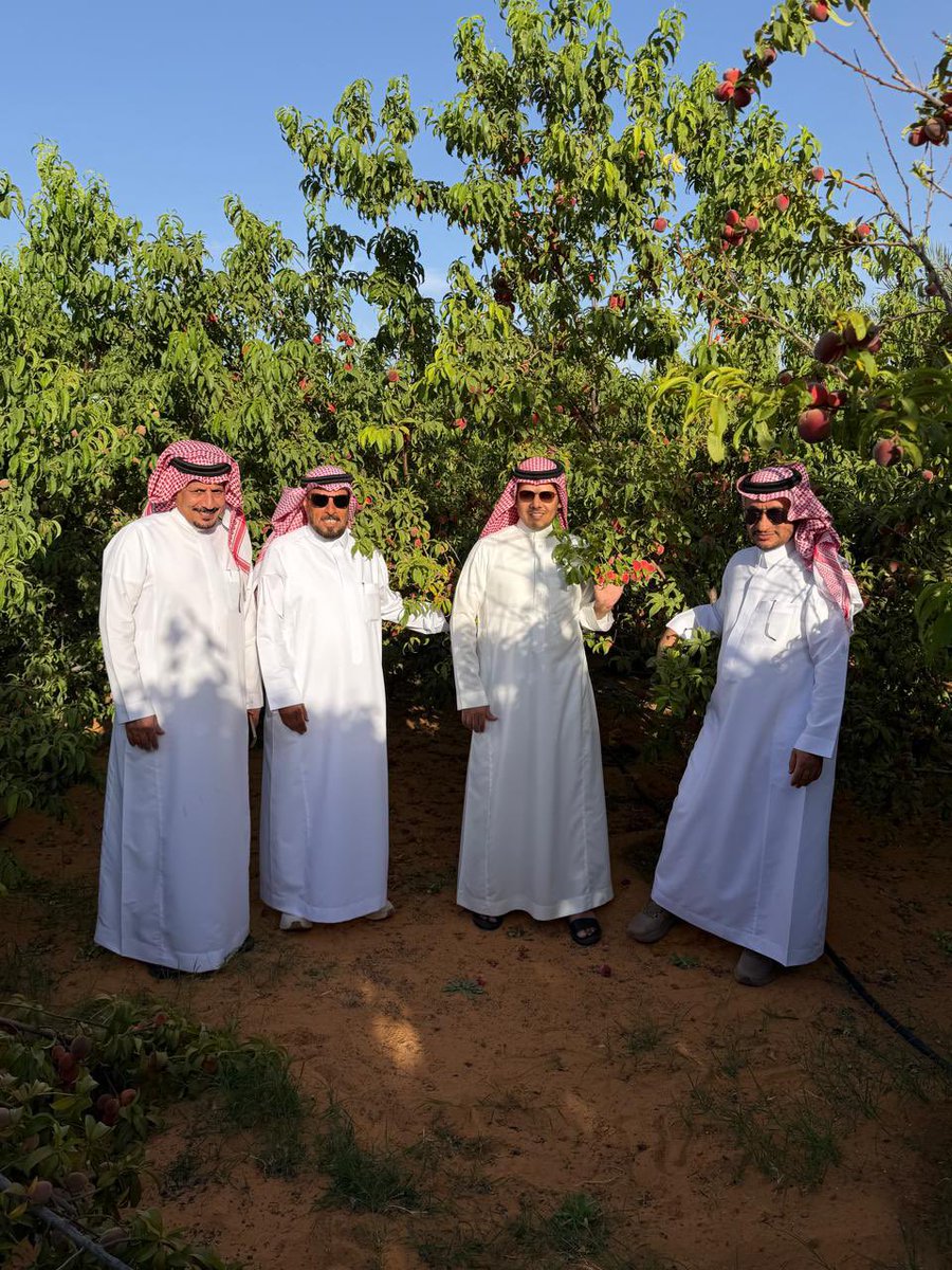 fahanazi's tweet photo. سعدنا هذا اليوم بزيارة مزرعة شرحة في قرية الفريهدية شمال منطقة حائل لصاحبها حمود العقاب والتي تعد احد النماذج المتميزة للزراعة المتنوعة لإنتاج الفواكة الموسمية وفق افضل الممارسات الزراعية والتي تساهم في دعم الأمن الغذائي للمملكة. 
وياتي هذا تأكيدا على ما تتميز به منطقة حائل من مقومات طبيعية تساهم في جودة وغزارة الانتاج الزراعي. 
تنتج المزرعة العديد من المنتجات أهمها الخوخ والمشمش والكمثرى والحمضيات والتين والعنب والتمر.