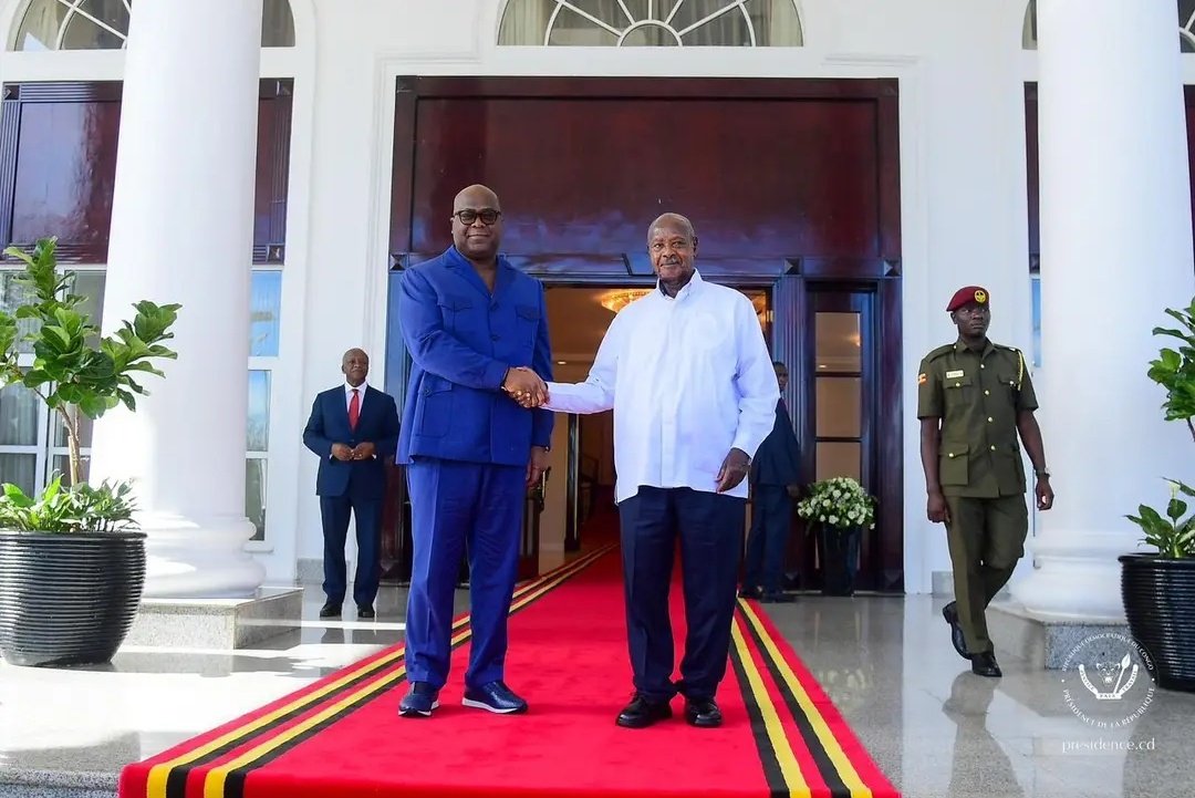Dynamique Félix-Antoine Tshisekedi tweet media