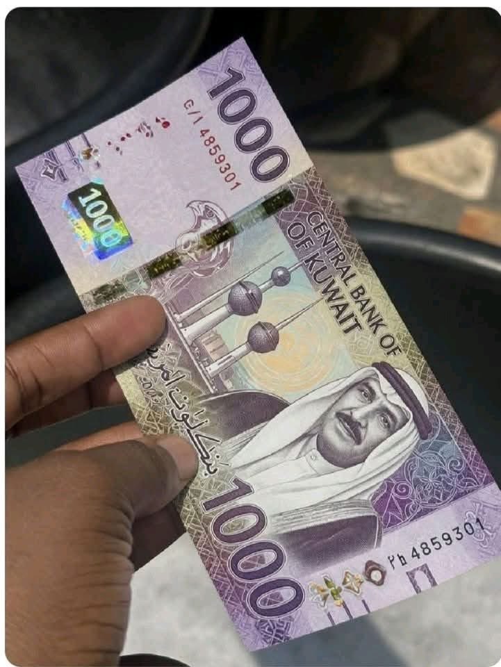 OREOFE tweet media