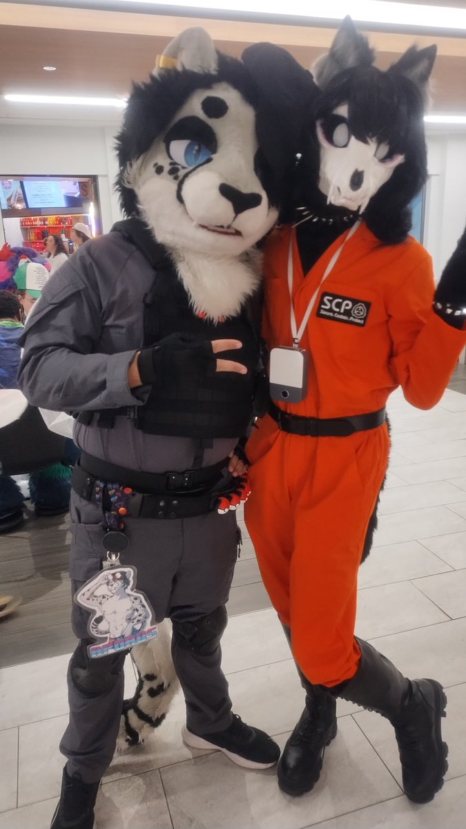 Goth Cheetah ➡️ AC, MP tweet media