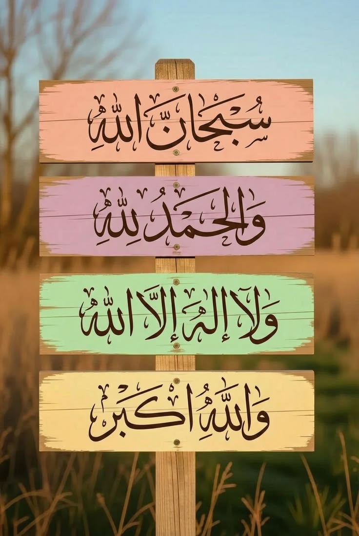 Alreem_464's tweet photo. الباقياتُ الصالحات.. خيرُ ما يُردده اللسان وأحبُّ الكلام إلى الرحمن سبحان الله 
والحمد لله ولا إله إلا الله والله أكبر.✨🌿 https://t.co/t4zosq1GDk