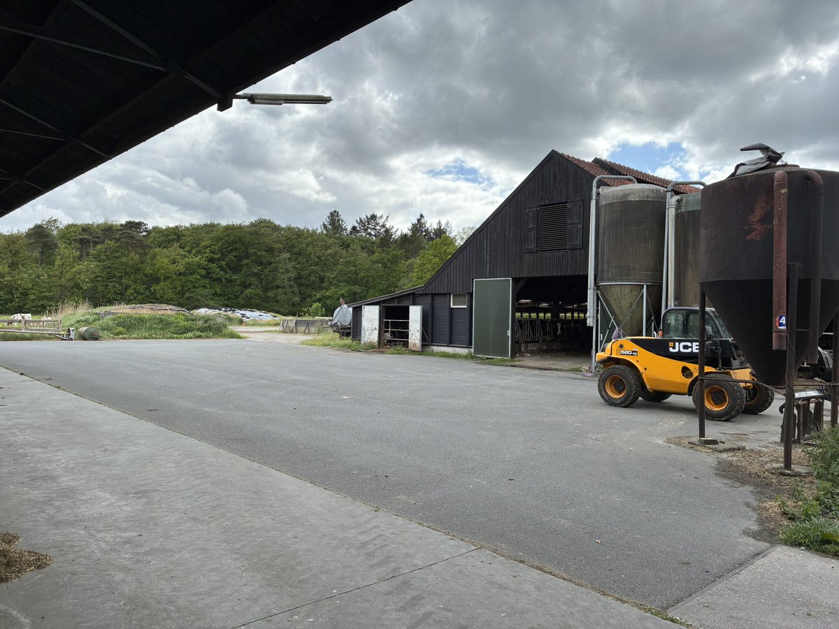 bhietberg's tweet photo. Dag twee van Leerlijn #Kringloop dierenartsen van start bij @AanpakIntegraal onderzoek melkveehouderij Staalduijnen.

Derde groep dierenartsen start al in september 💪
Bodem -plant -dier relaties 
Met gezonde dieren emissies verminderen #veearts https://t.co/cjIpgr1AGi