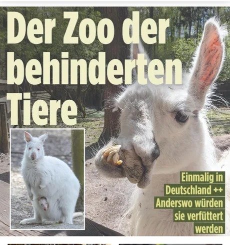 Lieblingskoch23's tweet photo. Ihr seht das doch auch, oder? https://t.co/zEHg9GtjMb