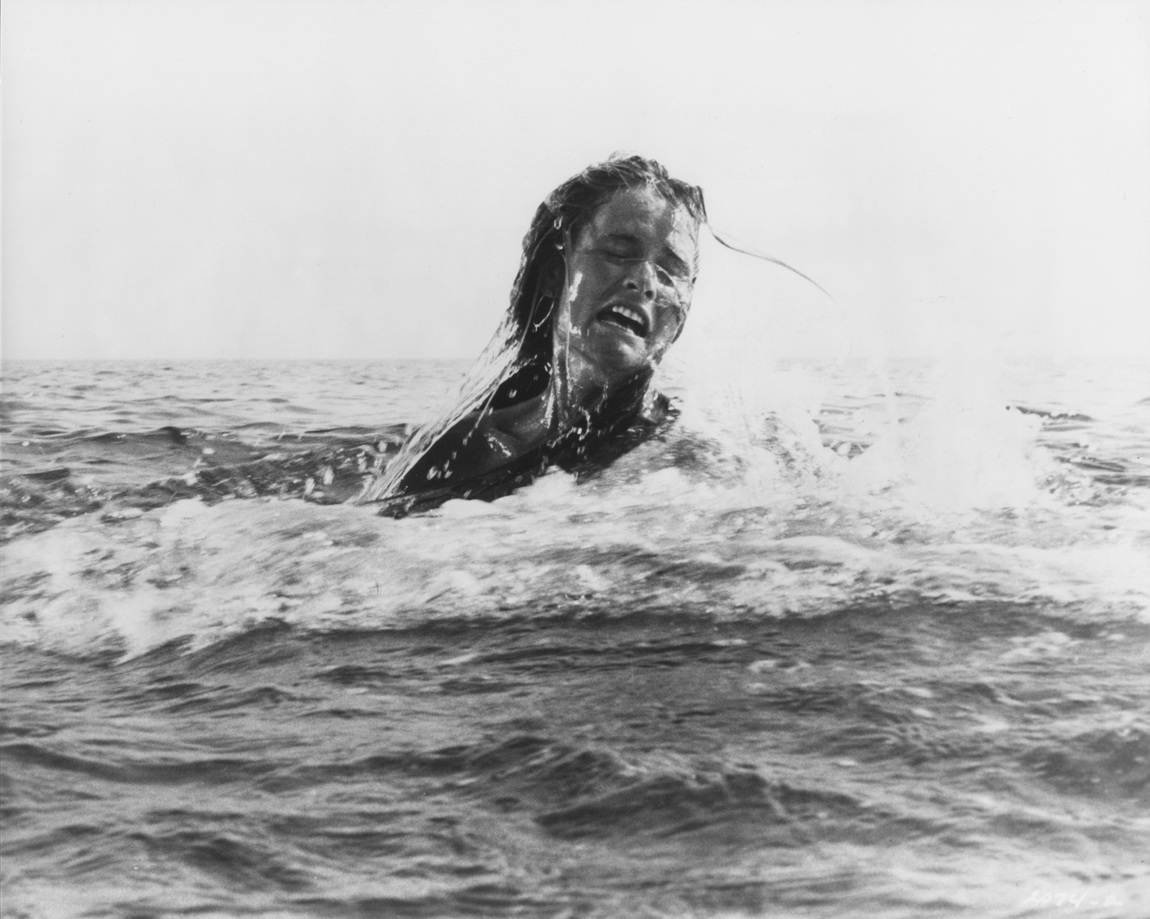 thedailyjaws's tweet photo. Susan Backlinie 1946-2024
Thinking of #JAWS actress Susan Backlinie (Chrissie Watkins) who passed away two years ago today, aged 77.
#SheWasTheFirst https://t.co/TrNrgqCRYl