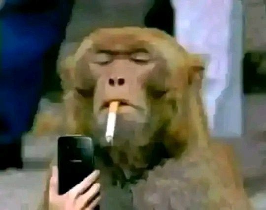 Salym tweet media