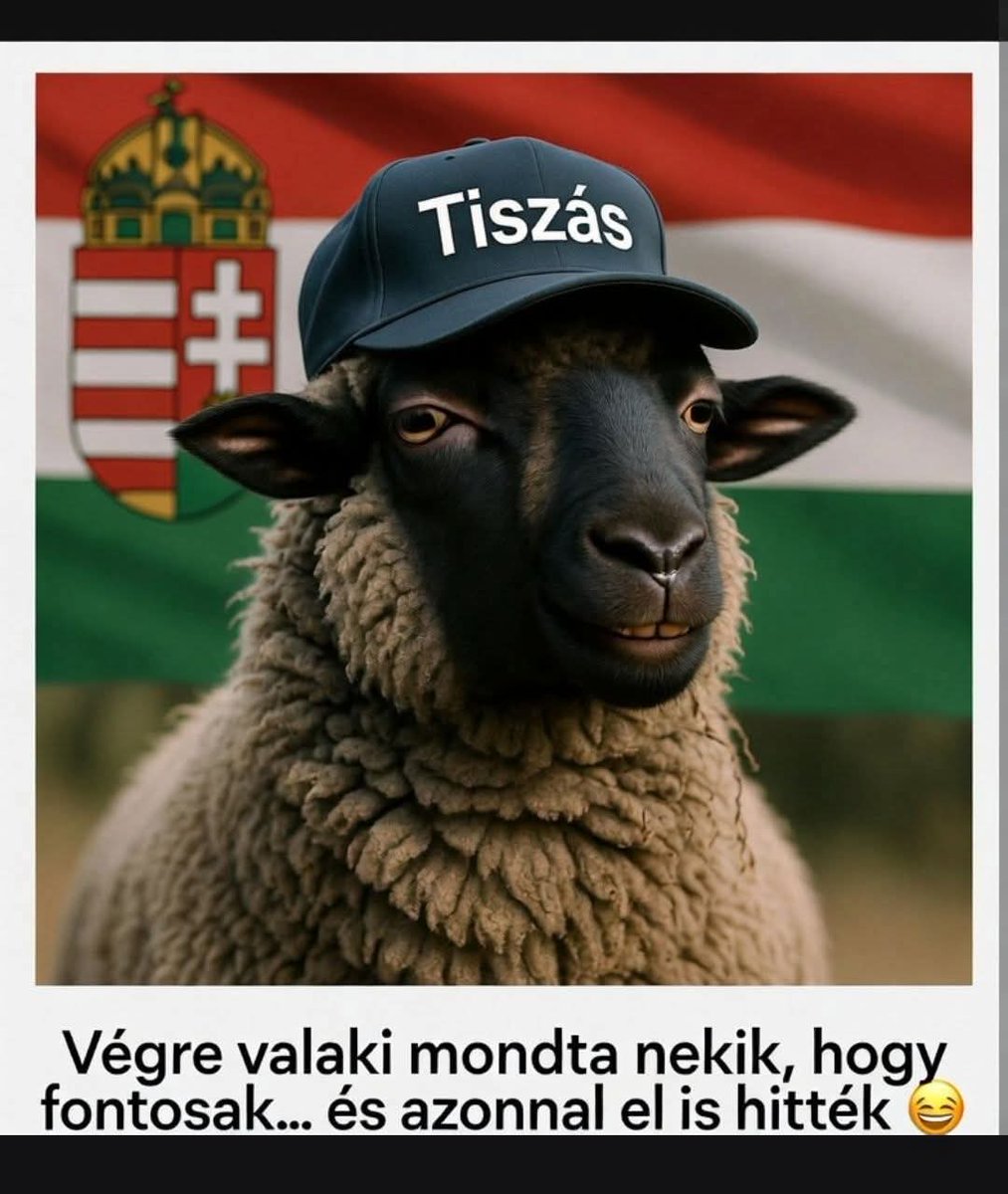 BP 🇭🇺🇭🇺🇭🇺 tweet media