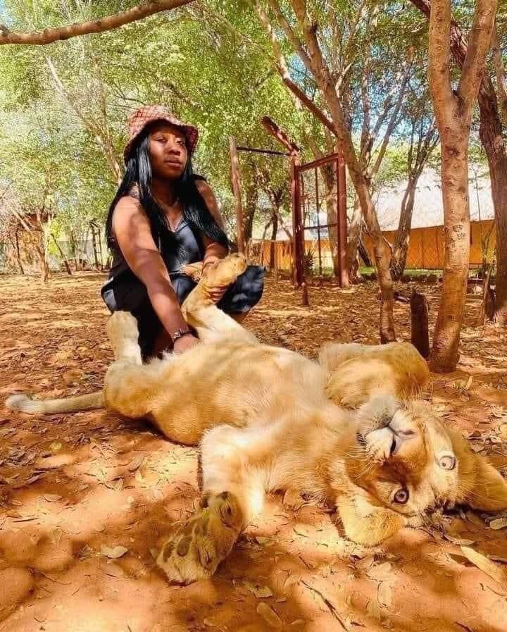 Zoom Afrika tweet media