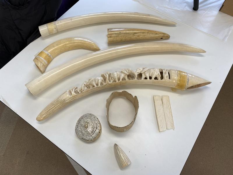 richtidwell's tweet photo. (7/18)

Solomon's 61st wife (Song 6:8) provides extra detail: 

“His abdomen is carved ivory… His legs are pillars of alabaster…” - Song 5:14-15

Israelite complexion = Snow, Milk, Rubies, Ivory, & Alabaster.

Very strange way to describe someone with dark complexion, don't you think?