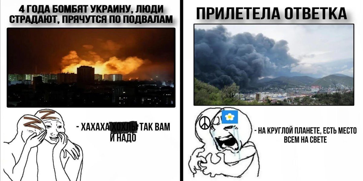 карайло 🤼‍♀️ tweet media