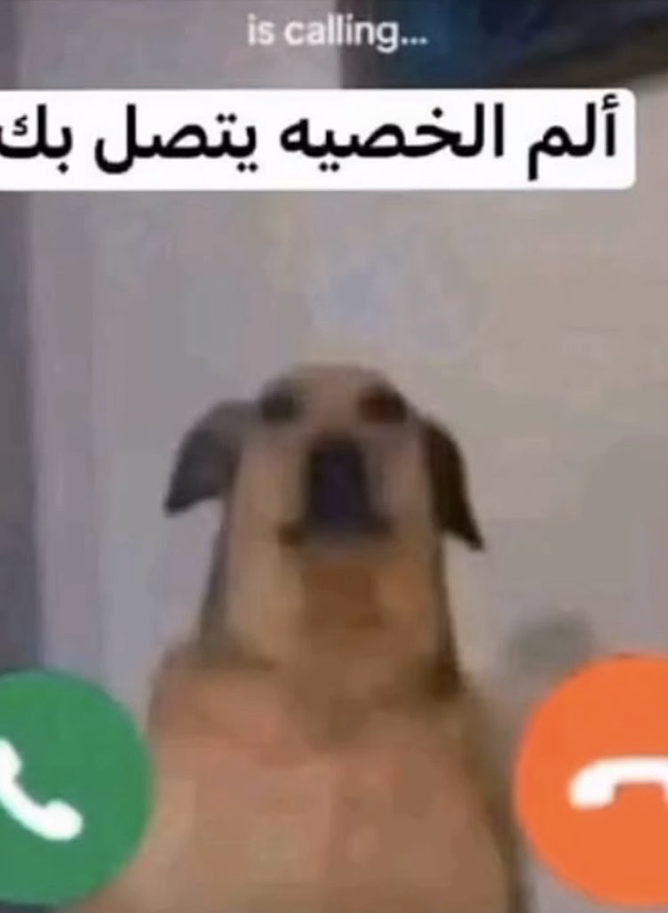 ᴍᴇᴇᴍ ᴊᴏᴜᴢ tweet media