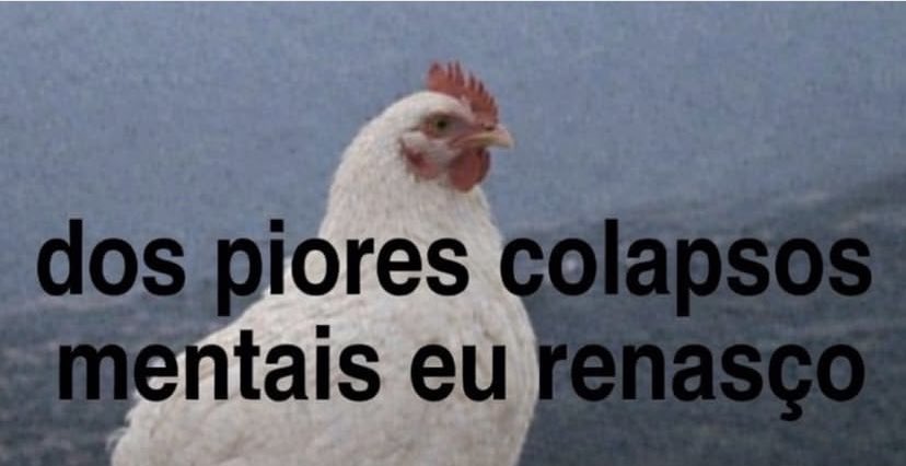 📮❤️🔥 tweet media