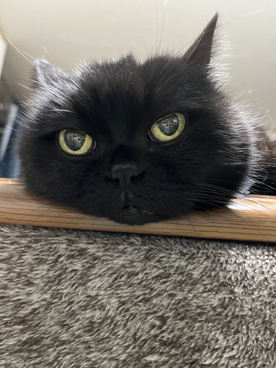 KEI tweet media