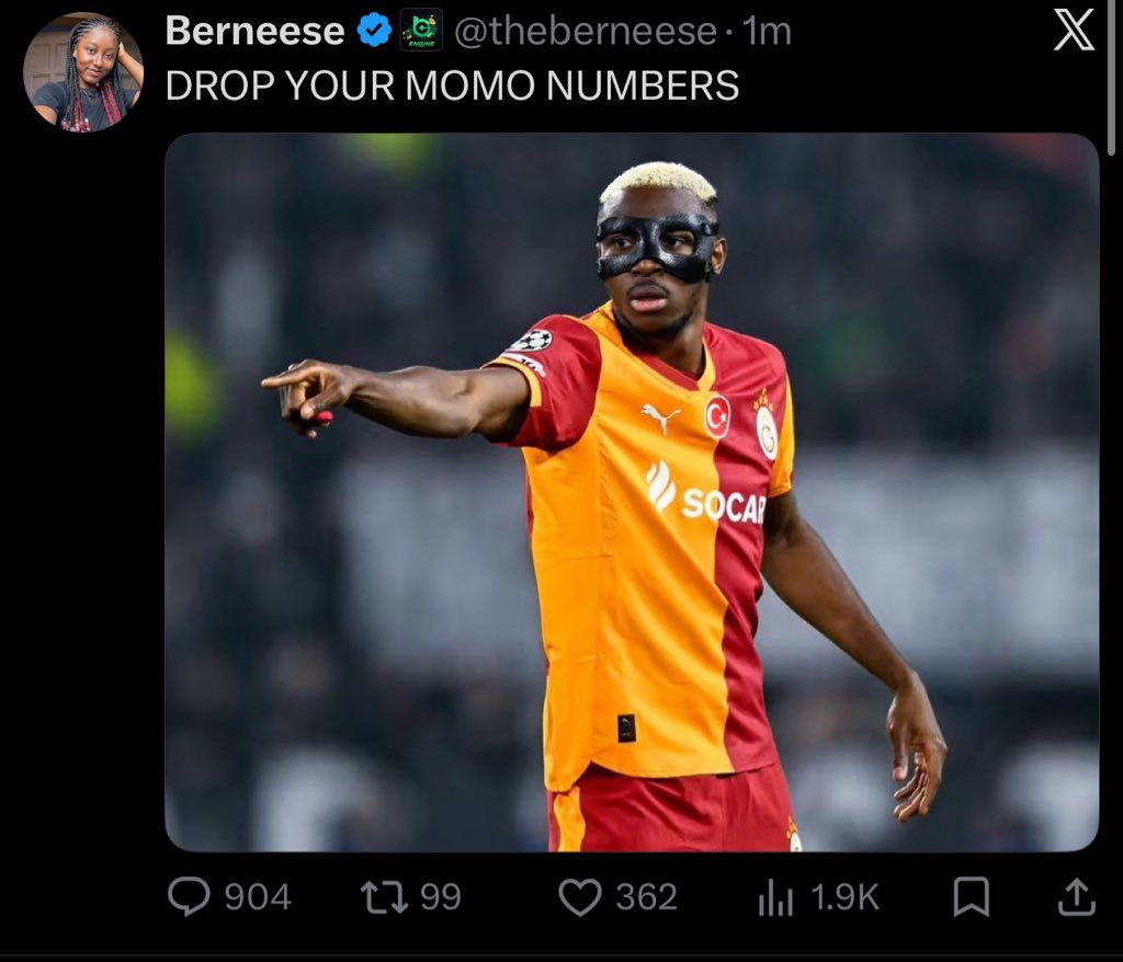Berneese tweet media