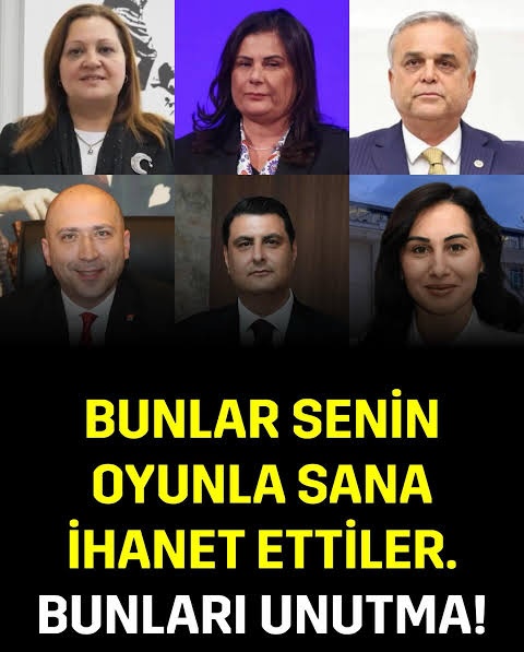 Selin Gülseven 🐦 tweet media