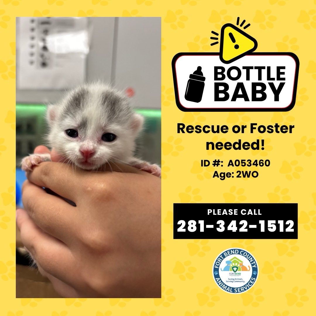 Fort Bend Animal Services tweet media