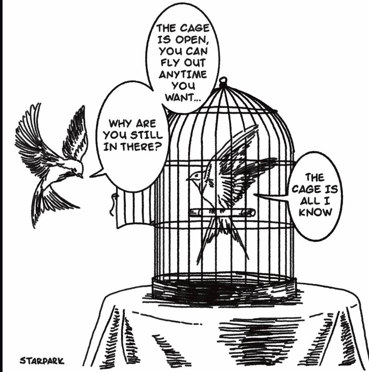 The Cage tweet media