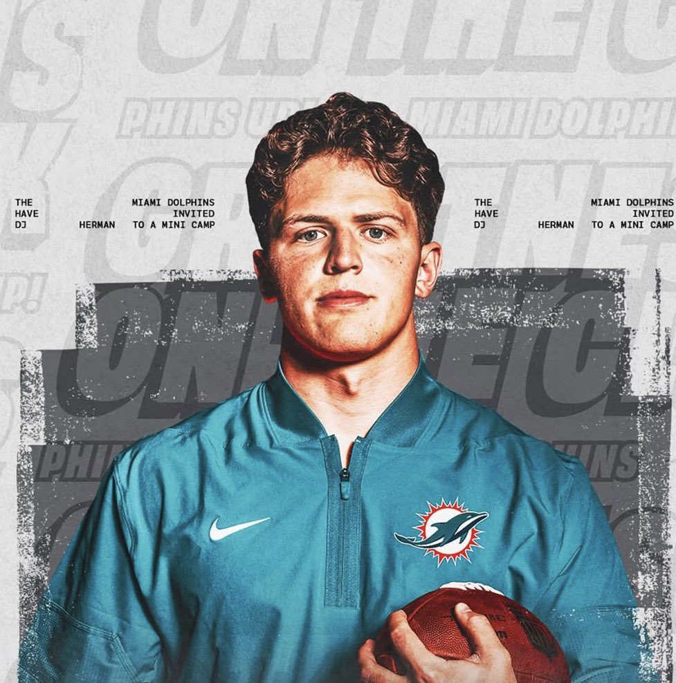 Dolphins Muse tweet media