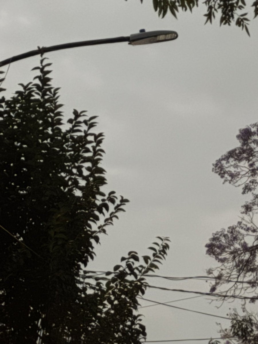 KaiserYari's tweet photo. @AccionesBJ buena tarde, siguen las luminarias descompuestas en la calle de Enrique Rebsamen del Número 716 al 744, entre Concepción Beistegui y Torres Adalid. https://t.co/QRzekXPGB2