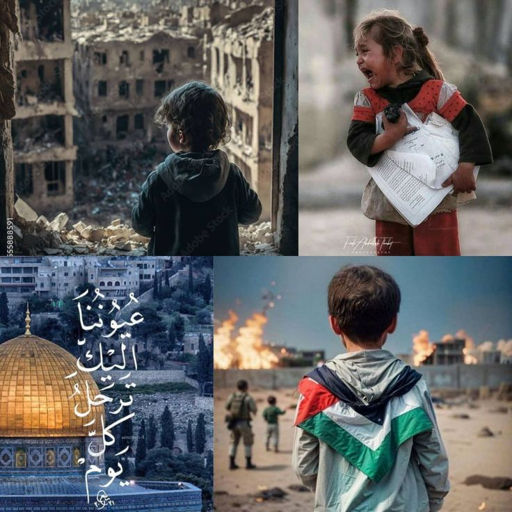 Dr. LilyFayed🇵🇸 tweet media
