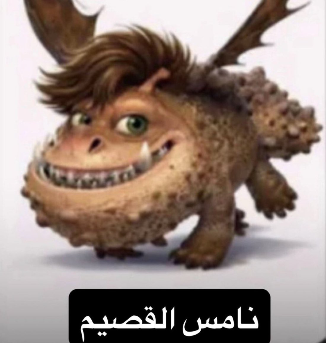 yoo 🇸🇦 tweet media