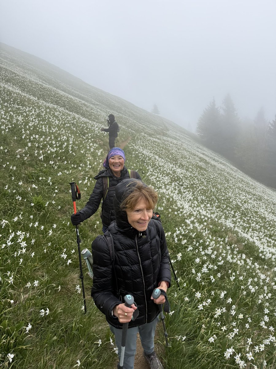 Exploring Slovenia tweet media