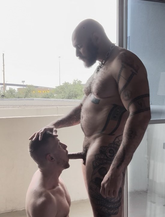TJ Legend ✈️ IML (Chicago) 5/22-25 tweet media