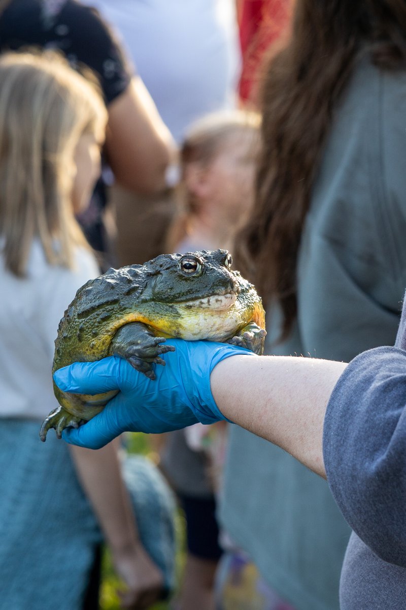 Notre Dame Science tweet media