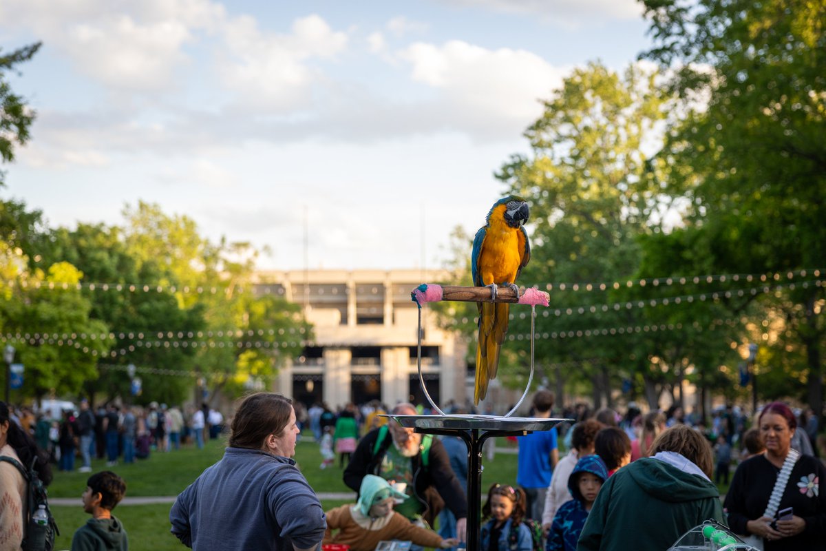 Notre Dame Science tweet media