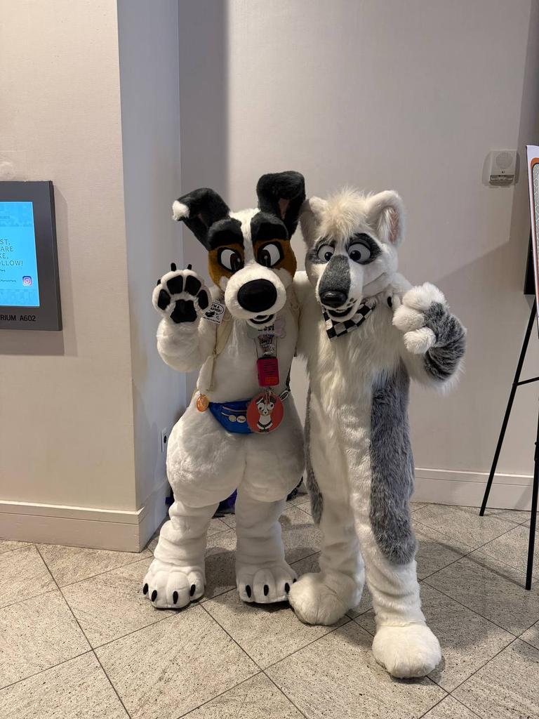 Fiddle_Strings's tweet photo. Absolutely dog-tired after an amazing weekend at FWA! I had such a good time!🐾

A few more pics in thread below. 
#fwa #fwa2026 https://t.co/Mbk91FIGeb