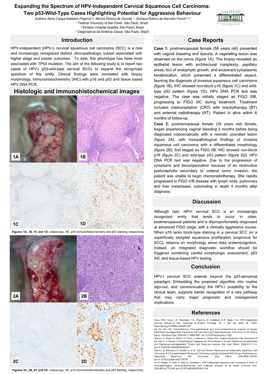 The British Assoc of Gynaecological Pathology tweet media