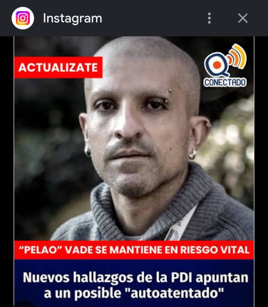 Camello tweet media