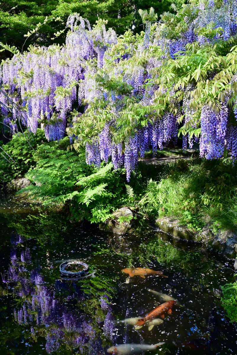 風景写真 Community on X - 7.2K Members