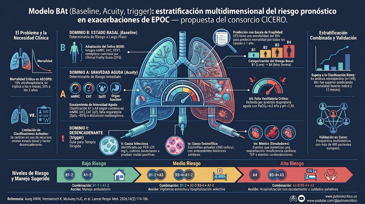 ¿Por qué dos pacientes con la misma exacerbación severa de EPOC tienen pronósticos opuestos?

El consorcio CICERO propone el modelo BAt en Lancet Respir Med 2026: estratificación multidimensional con tres dominios usando datos clínicos rutinarios.

B (baseline): mMRC + IMC + FEV1