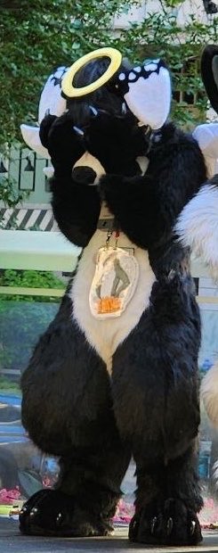 Angel Dog Alis 🔜 FWA tweet media