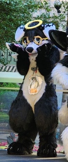 Angel Dog Alis 🔜 FWA tweet media