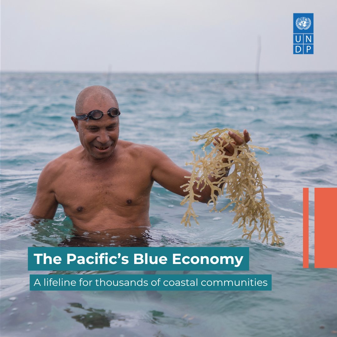 UNDP Pacific Office in Fiji tweet media