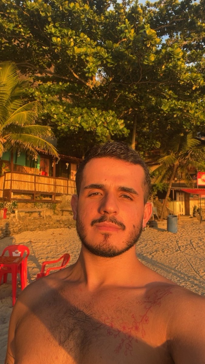 Seninha tweet media