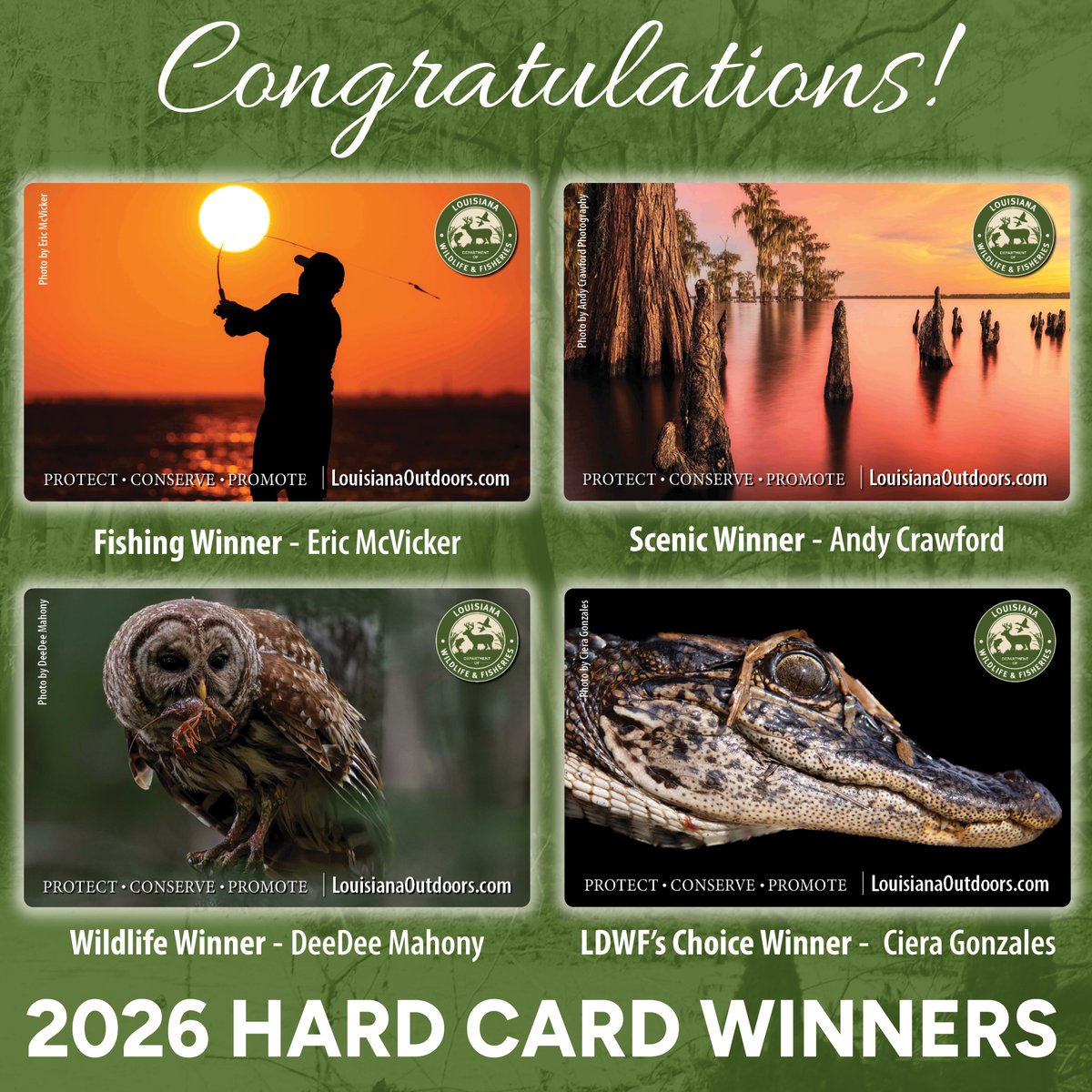 LaWildlife&Fisheries tweet media