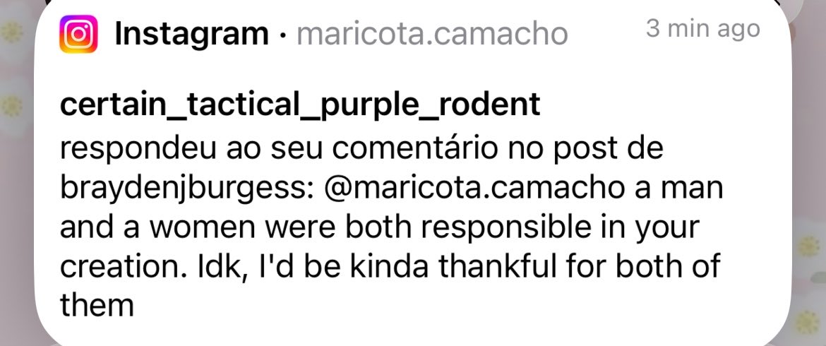 maricota tweet media