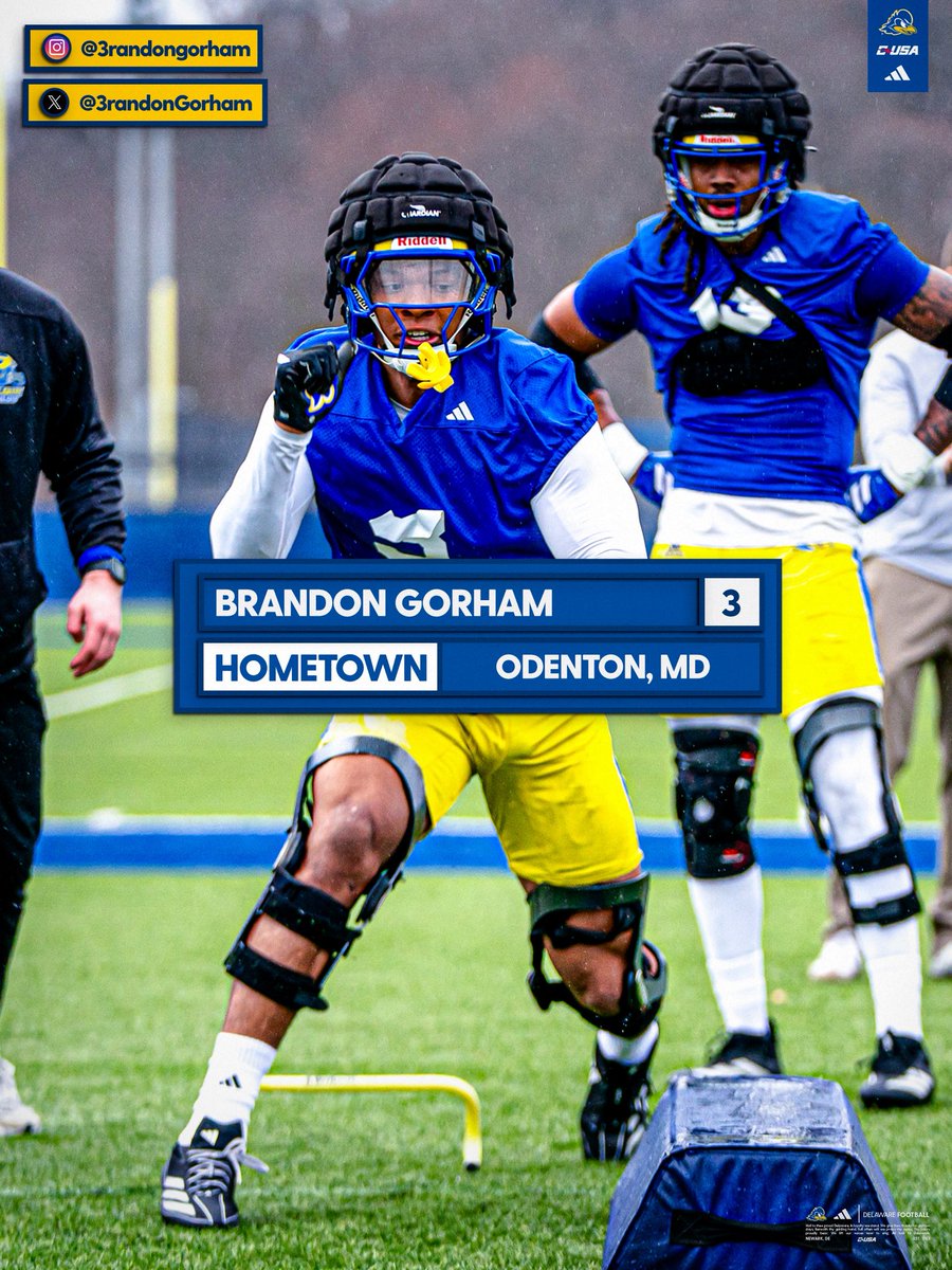 Delaware Football tweet media