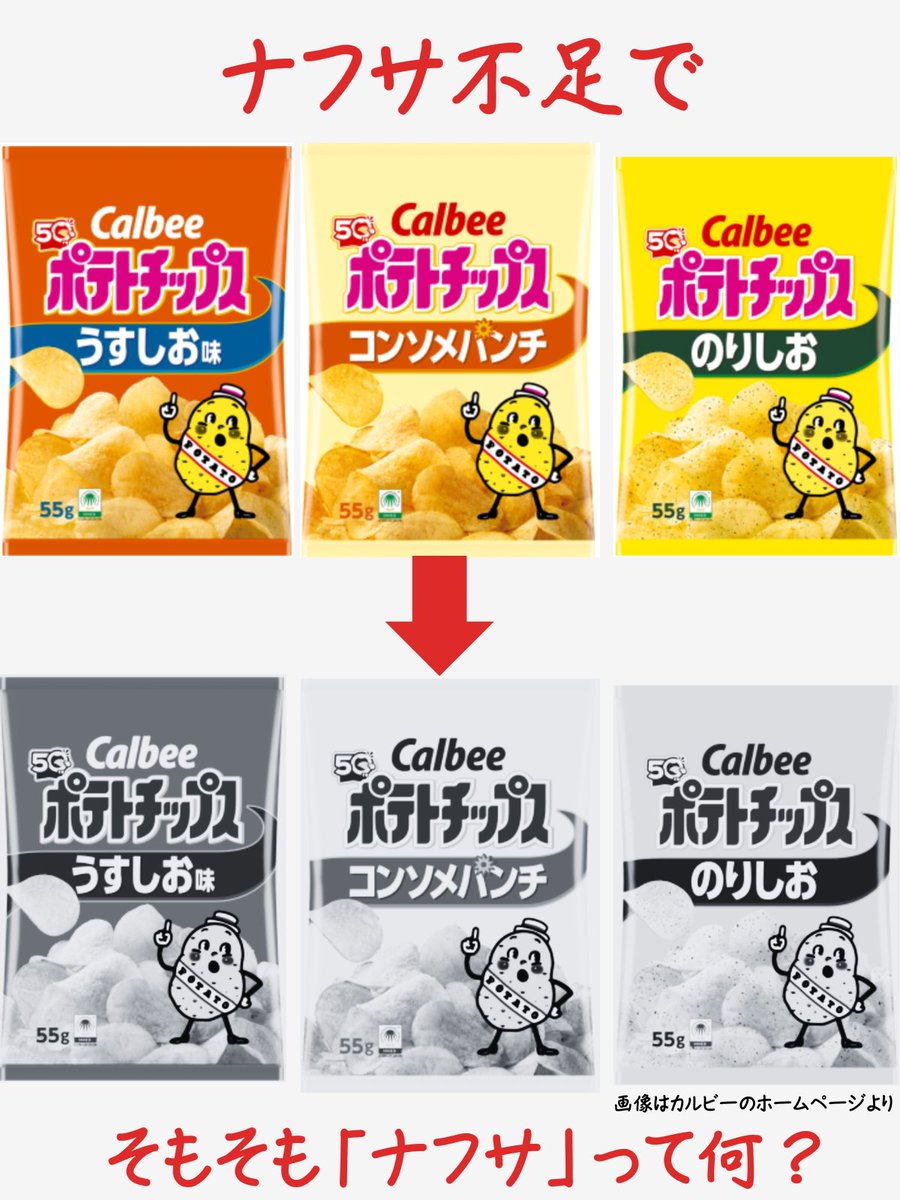 てっぺい tweet media