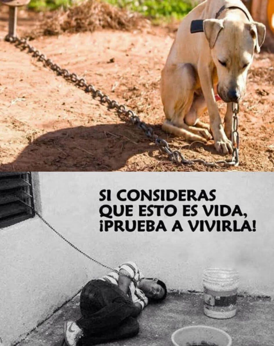 Sabueson tweet media