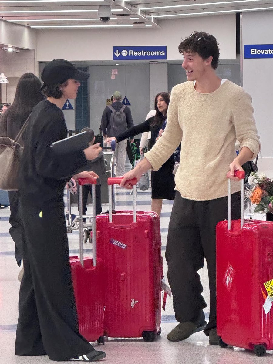Portal Shawn Mendes tweet media