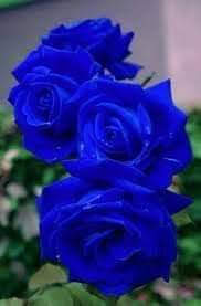 KeyiraWells2's tweet photo. @Beleneigeblache https://t.co/EY7wZnJzHG