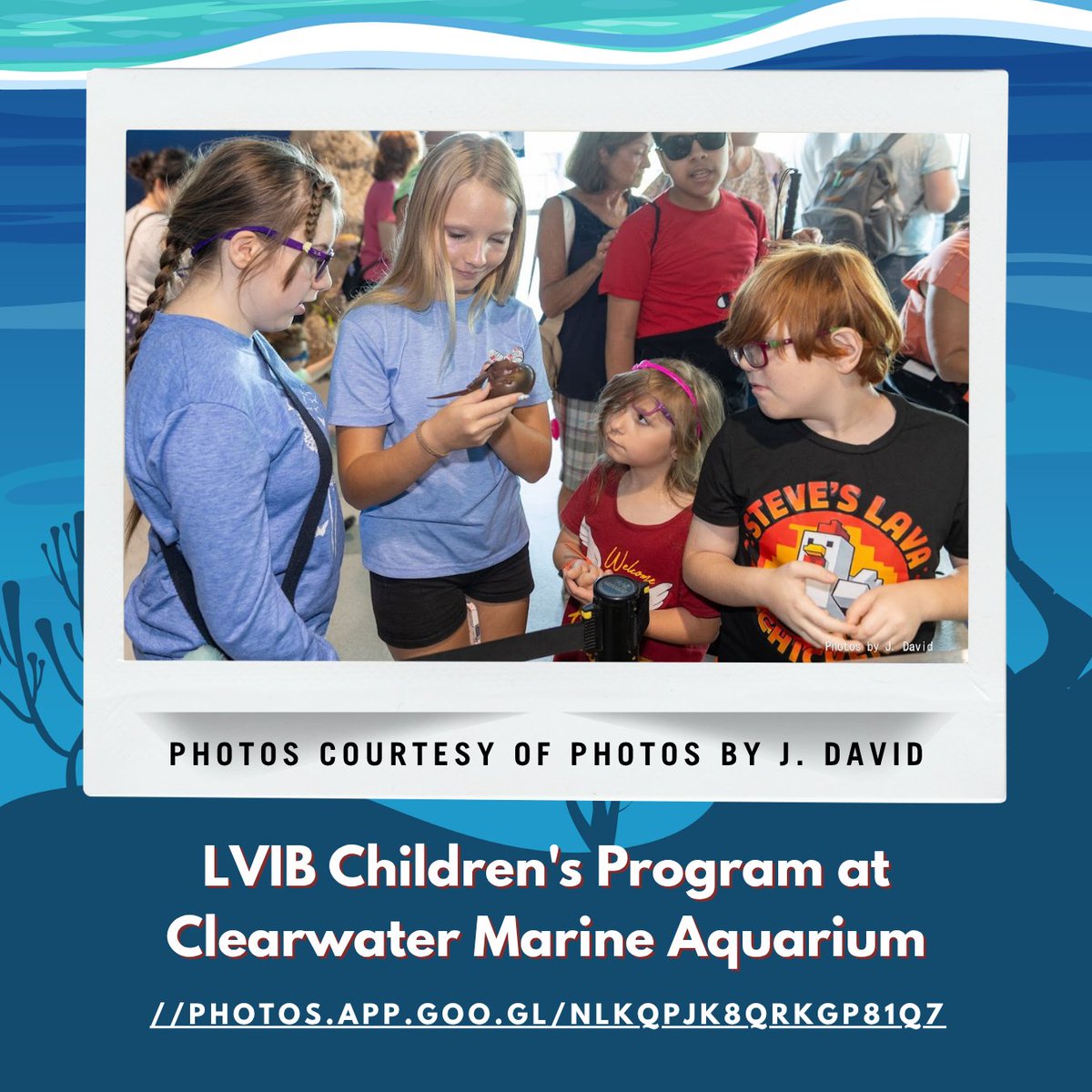 LighthouseVIB's tweet photo. LVIB's Children’s Program had an amazing visit to Clearwater Marine Aquarium! 🐬🌊
Thanks CMA for sponsoring our children, staff &amp; volunteers through the CMA Inspires Program. 💙
Thanks also to J. David Wright for these wonderful photos: https://t.co/ji0TnFLWuE
#lvibmissionmakers https://t.co/2zWLmS9yTw