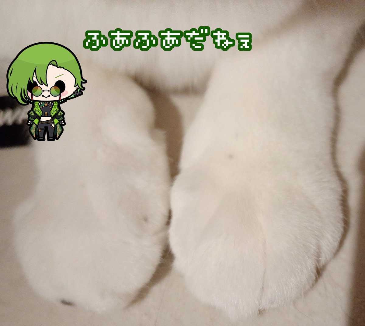 狩真ロン🎰🐉のなめぷろだくしょん tweet media