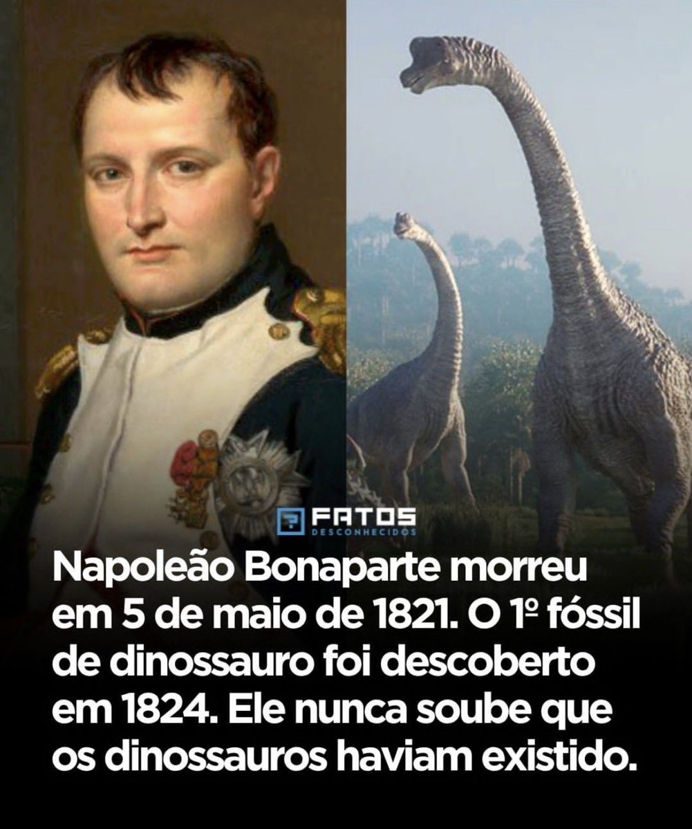 Nonô tweet media