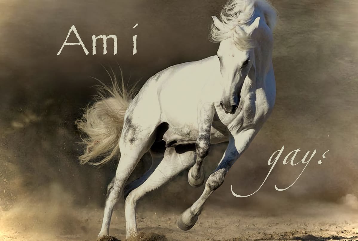 horse tweet media