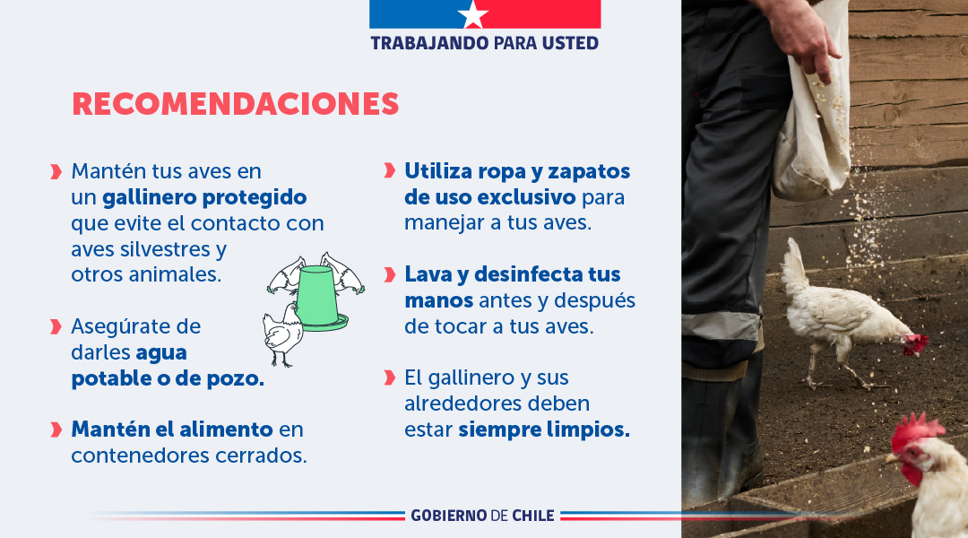 Ministerio de Agricultura de Chile 🇨🇱 tweet media