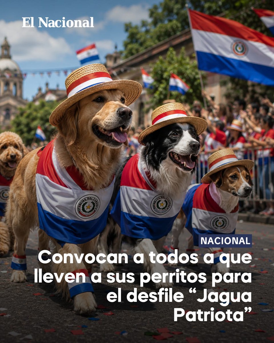 El Nacional tweet media